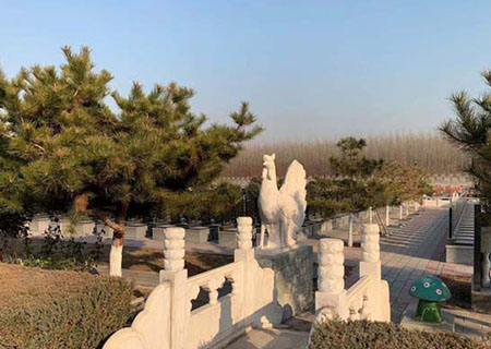  公墓环境